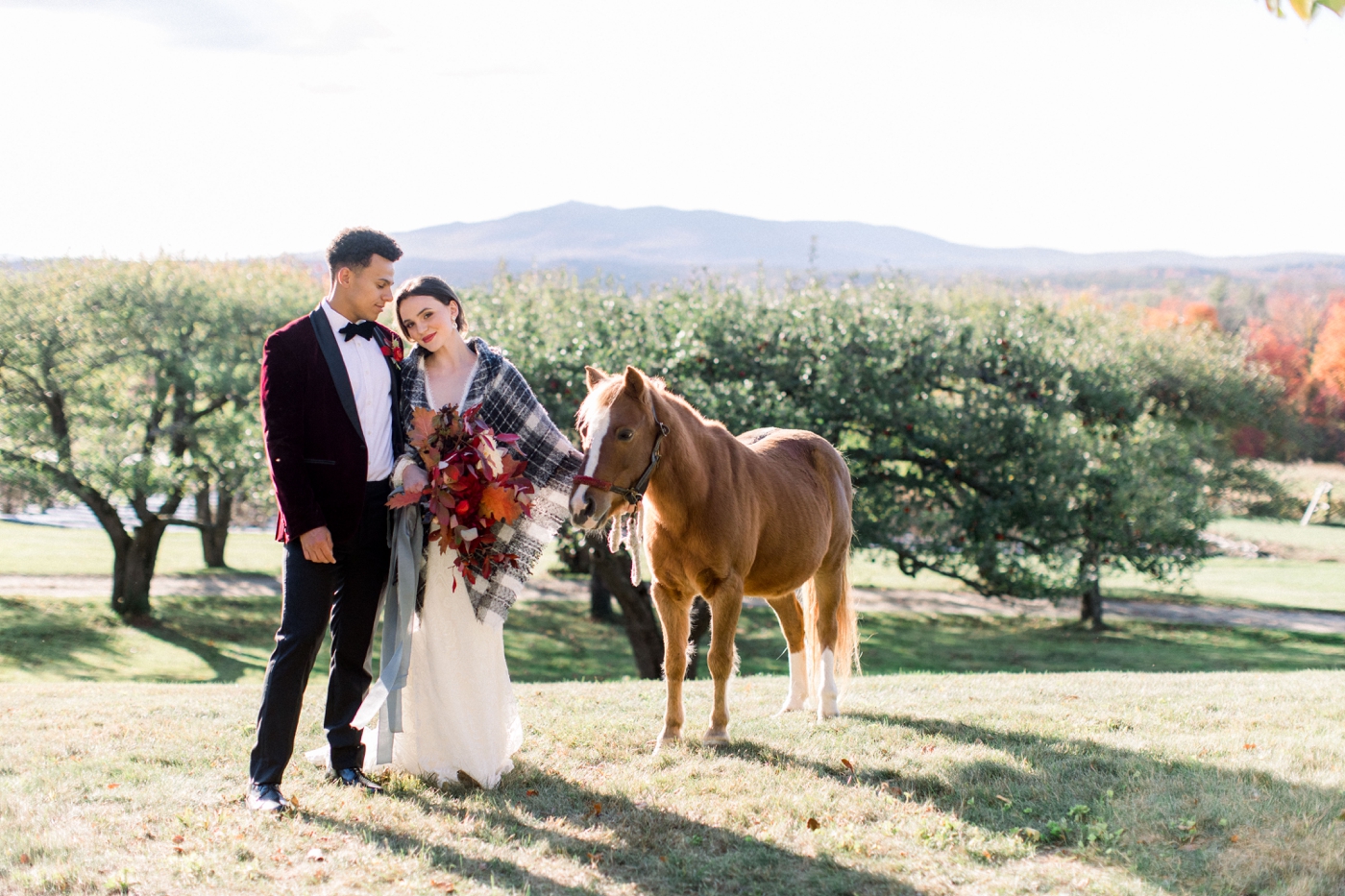 Fall mountain wedding with a Shetland Pony