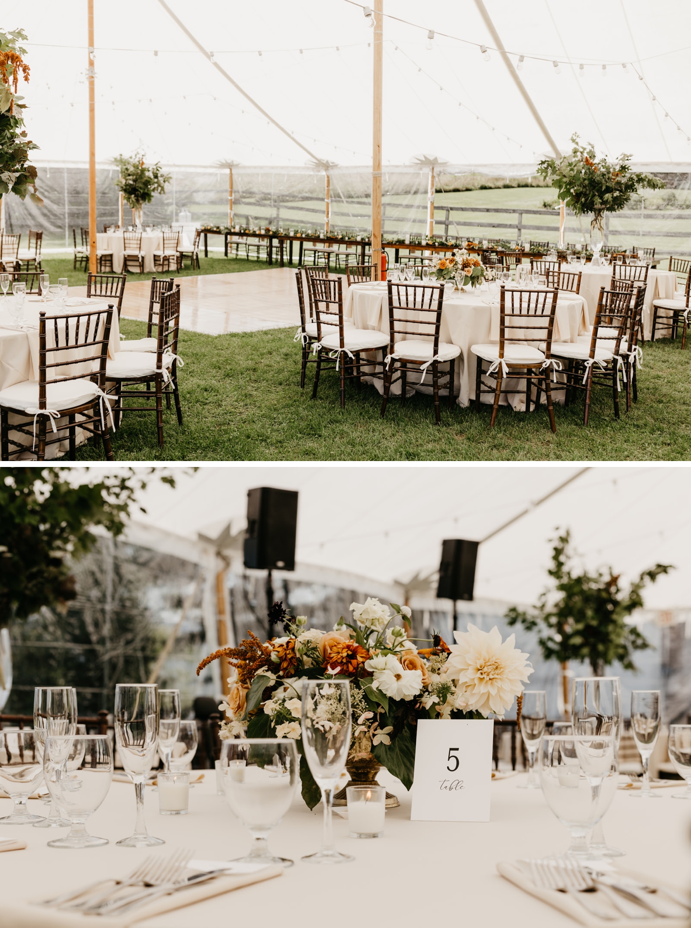 Tented wedding reception at Toad Hill Farm