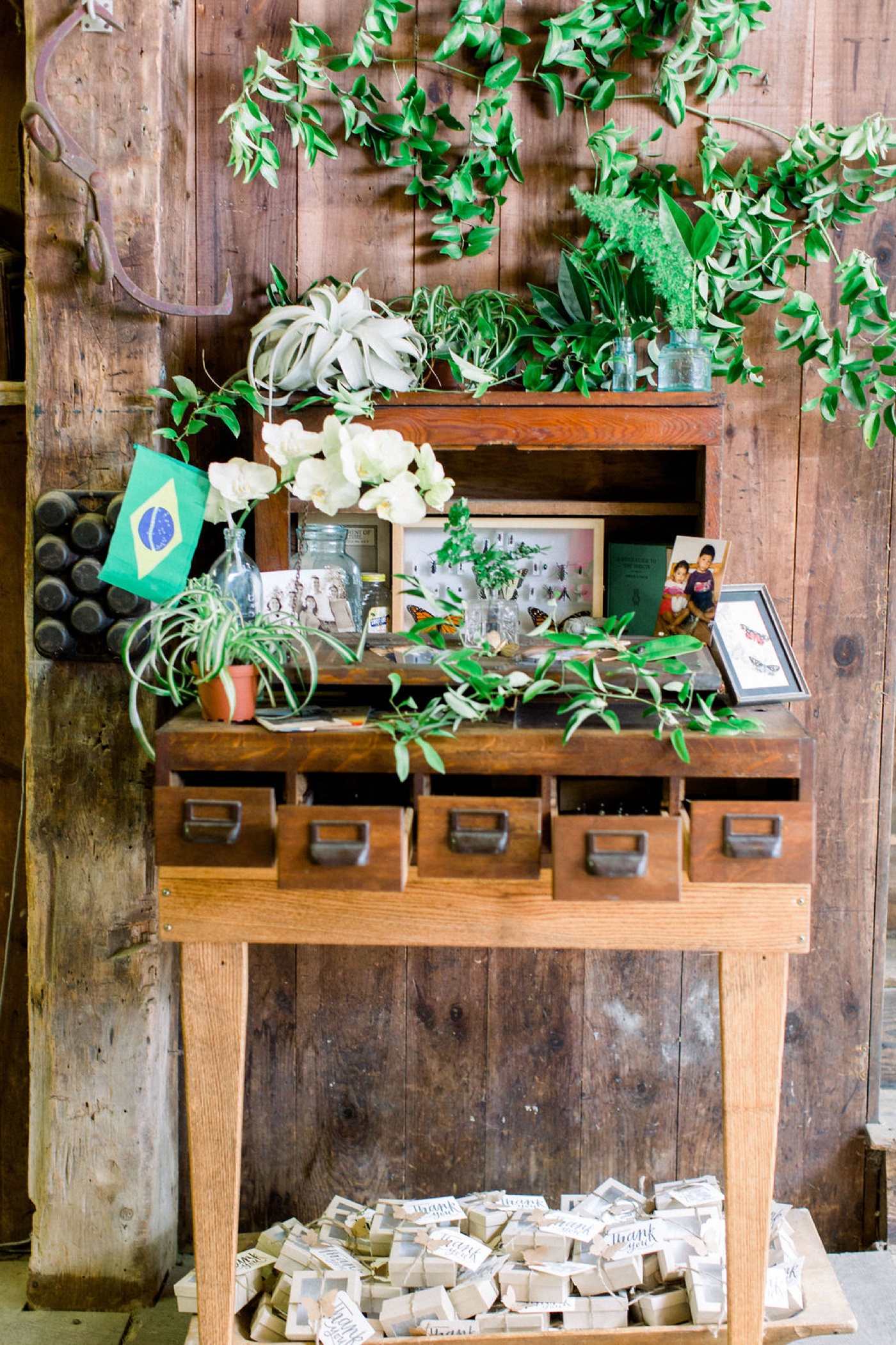 Antique desk with family photos and butterfly specimens at an insect-themed wedding