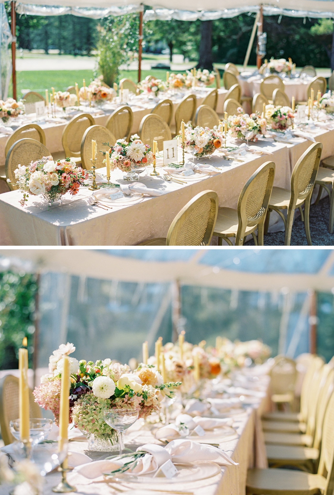 Cane back chairs, pink linens, and colorful flowers for a wedding reception