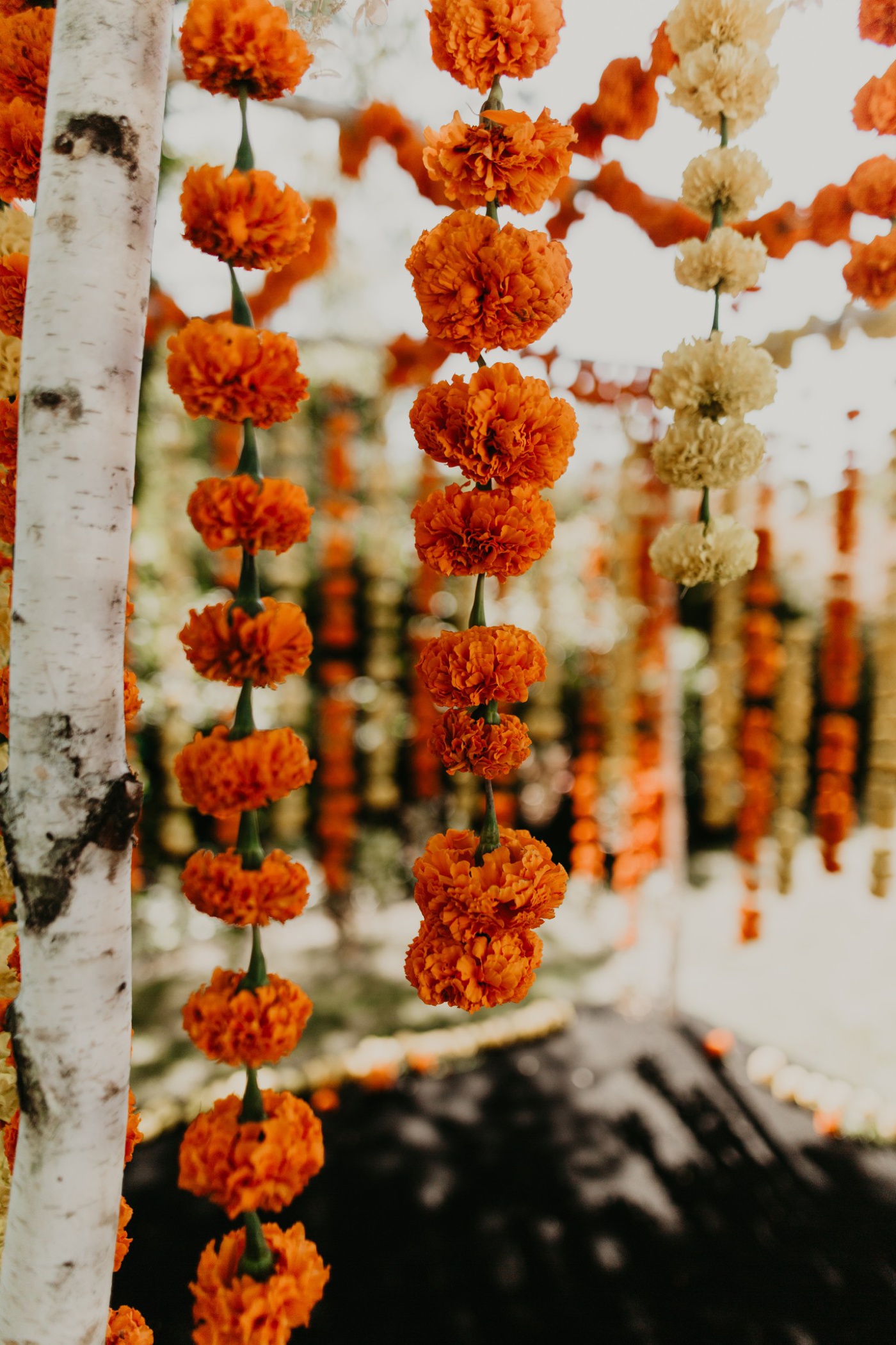 Birch wedding ceremony arch with hanging marigolds